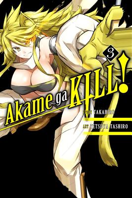 Akame Ga Kill!, Volume 3 -- Takahiro, Paperback