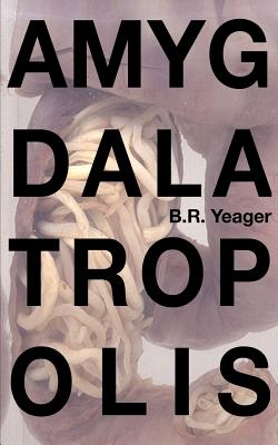 Amygdalatropolis -- Edia Connole, Paperback