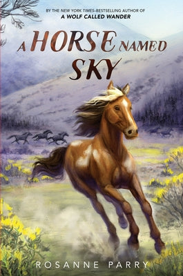 Cover Image for A Horse Named Sky -- Rosanne Parry, Paperback