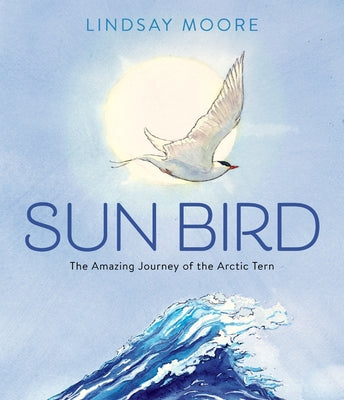 Cover Image for Sun Bird: The Amazing Journey of the Arctic Tern -- Lindsay Moore, Hardcover