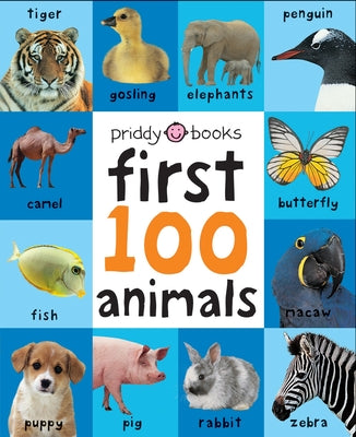Cover Image for First 100 Big Board: Animals: In the Bestselling First 100 Series -- Roger Priddy, Board Books