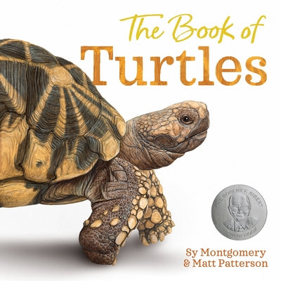Cover Image for The Book of Turtles -- Sy Montgomery, Hardcover