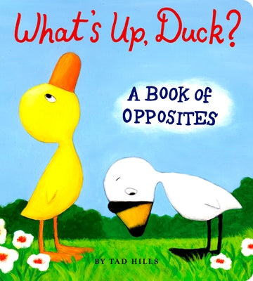 Cover Image for What's Up, Duck?: A Book of Opposites -- Tad Hills, Board Books