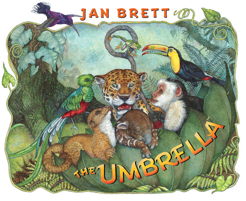 Cover Image for The Umbrella -- Jan Brett, Hardcover