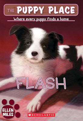 Cover Image for Flash (the Puppy Place #6): Volume 6 -- Ellen Miles, Paperback