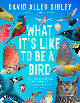 Cover Image for What It's Like to Be a Bird (Adapted for Young Readers): From Flying to Nesting, Eating to Singing--What Birds Are Doing and Why -- David Allen Sibley, Hardcover