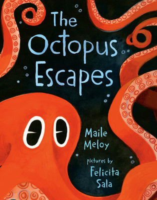 Cover Image for The Octopus Escapes -- Maile Meloy, Board Books