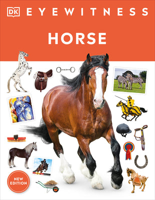 Cover Image for Eyewitness Horse -- DK, Paperback