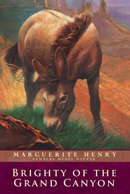 Cover Image for Brighty of the Grand Canyon -- Marguerite Henry, Paperback
