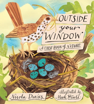 Cover Image for Outside Your Window: A First Book of Nature -- Nicola Davies, Hardcover