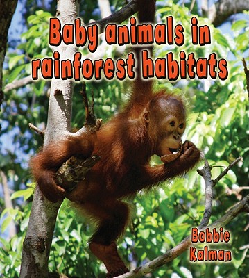 Cover Image for Baby Animals in Rainforest Habitats -- Bobbie Kalman, Paperback