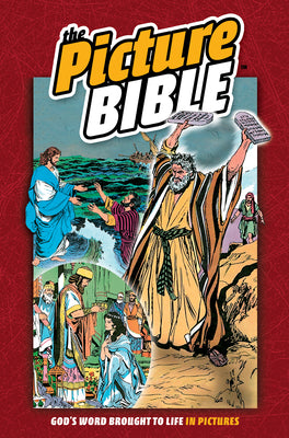 Cover Image for The Picture Bible -- Iva Hoth, Hardcover