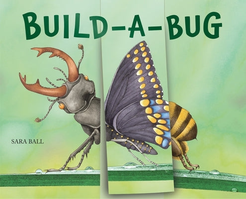 Cover Image for Build-A-Bug: Make Your Own Wacky Insect! -- Sara Ball, Board Books