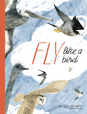 Cover Image for Fly Like a Bird -- Olga Ptashnik, Hardcover