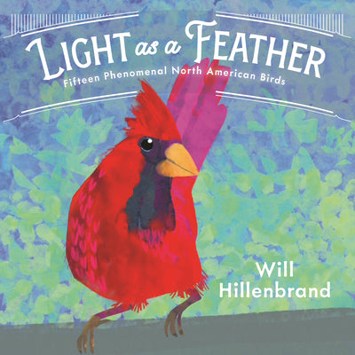 Cover Image for Light as a Feather: Fifteen Phenomenal North American Birds -- Will Hillenbrand, Hardcover