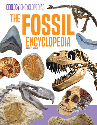 Cover Image for Fossil Encyclopedia -- Miles Herman, Library Binding