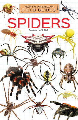 Cover Image for Spiders -- Samantha S. Bell, Library Binding