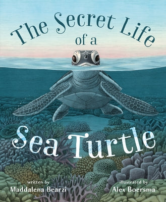 Cover Image for The Secret Life of a Sea Turtle -- Maddalena Bearzi, Hardcover