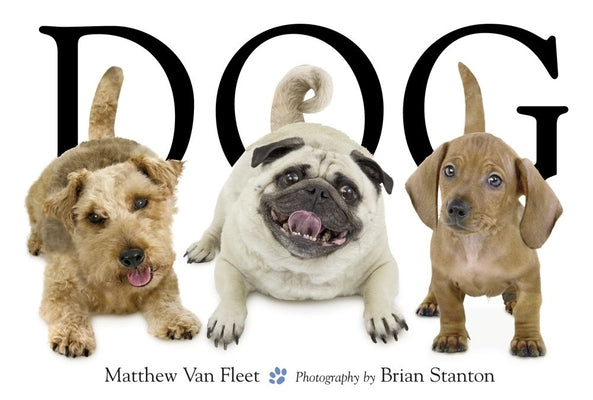 Cover Image for Dog -- Matthew Van Fleet, Hardcover
