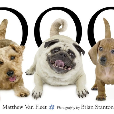 Dog -- Matthew Van Fleet, Hardcover