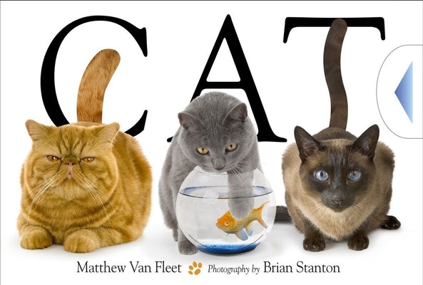 Cover Image for Cat -- Matthew Van Fleet, Hardcover