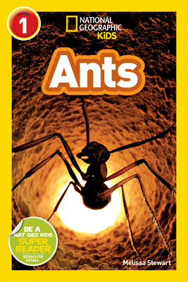Cover Image for Ants (National Geographic Kids Readers, Level 1) -- Melissa Stewart, Paperback