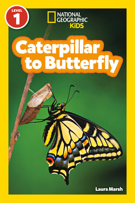 Cover Image for Caterpillar to Butterfly (National Geographic Kids Readers, Level 1) -- Laura Marsh, Paperback