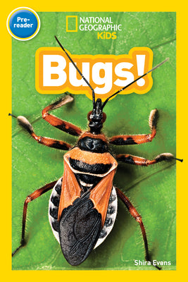 Cover Image for Bugs! (National Geographic Kids Readers, Pre-Reader) -- Shira Evans, Paperback