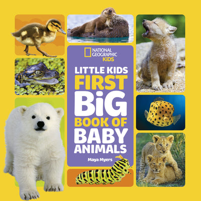 Cover Image for National Geographic Little Kids First Big Book of Baby Animals -- Maya Myers, Hardcover