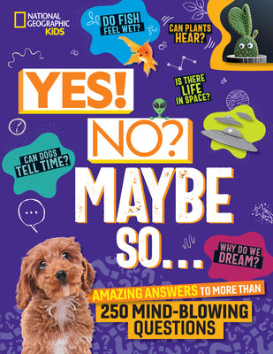 Cover Image for Yes! No? Maybe So...: Amazing Answers to More Than 250 Mind-Blowing Questions -- Julie Beer, Hardcover