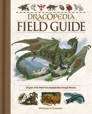 Cover Image for Dracopedia Field Guide: Dragons of the World from Amphipteridae Through Wyvernae -- William O'Connor, Hardcover