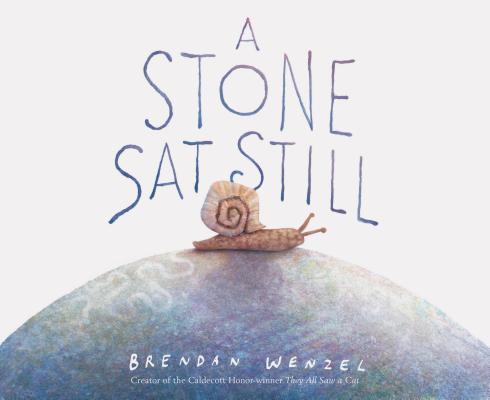 Cover Image for A Stone SAT Still -- Brendan Wenzel, Hardcover