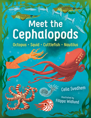 Cover Image for Meet the Cephalopods: Octopus, Squid, Cuttlefish, Nautilus -- Celia Svedhem, Hardcover