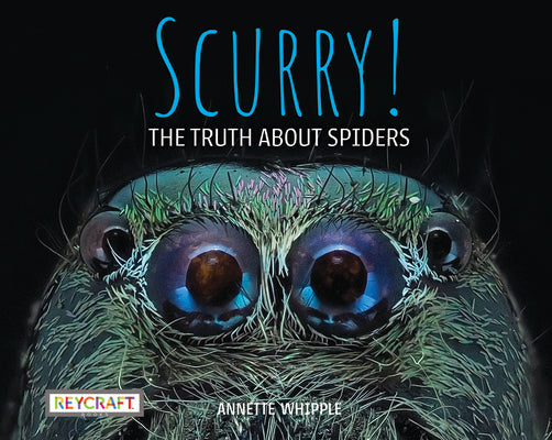 Scurry: The Truth about Spiders: The Truth about Spiders -- Annette Whipple, Paperback