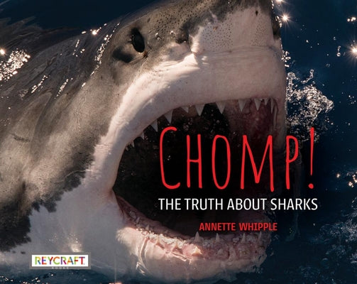 Cover Image for Chomp! the Truth about Sharks -- Annette Whipple, Hardcover