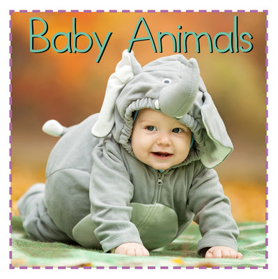 Cover Image for Baby Animals -- Addie Vaughters, Board Books
