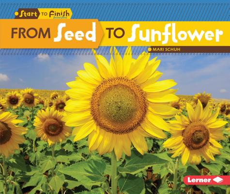 Cover Image for From Seed to Sunflower -- Mari C. Schuh, Paperback