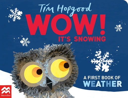 Cover Image for Wow! It's Snowing: A First Book of Weather -- Tim Hopgood, Board Books