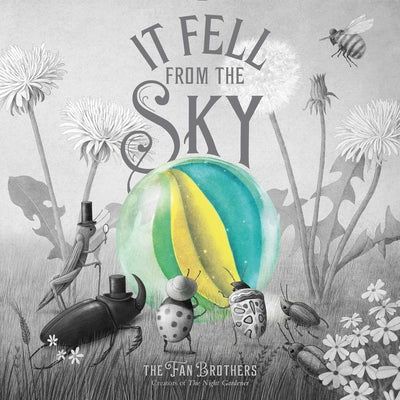 Cover Image for It Fell from the Sky -- Terry Fan, Hardcover