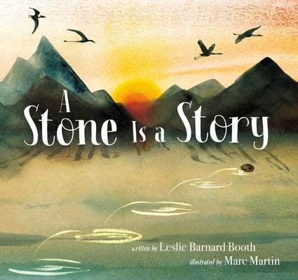 Cover Image for A Stone Is a Story -- Leslie Barnard Booth, Hardcover