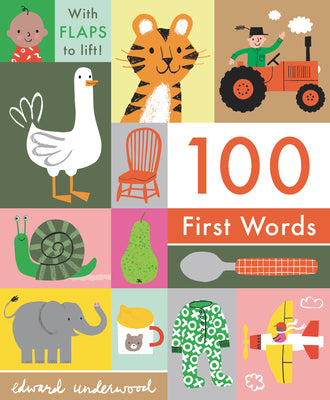 Cover Image for 100 First Words: With Flaps to Lift -- Edward Underwood, Board Books