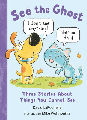 See the Ghost: Three Stories about Things You Cannot See -- David Larochelle, Hardcover