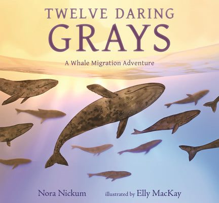 Cover Image for Twelve Daring Grays: A Whale Migration Adventure -- Nora Nickum, Hardcover