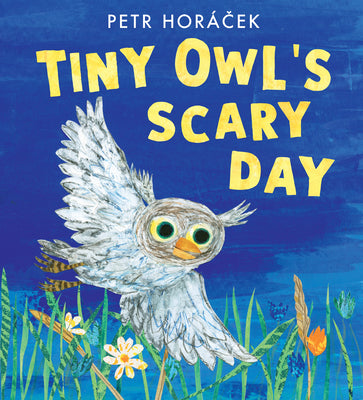 Cover Image for Tiny Owl's Scary Day -- Petr Horácek, Hardcover