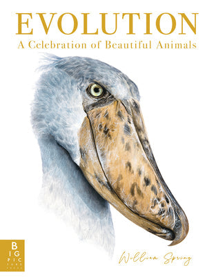 Evolution: A Celebration of Beautiful Animals -- William Spring, Hardcover