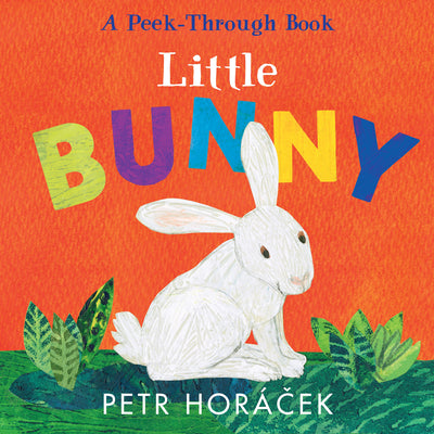 Cover Image for Little Bunny -- Petr Horacek, Board Books