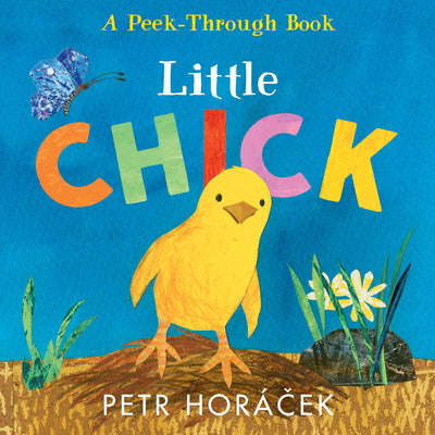 Cover Image for Little Chick: (Ideal for Easter Baskets) -- Petr Horacek, Board Books
