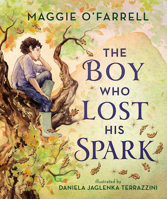 Cover Image for The Boy Who Lost His Spark -- Maggie O'Farrell, Paperback