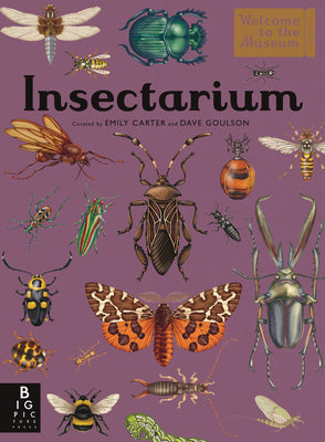Cover Image for Insectarium: Welcome to the Museum (an Illustrated Junior Entomology Guide to Wild Bug Species, Biodiversity, and Nature Conservation for Kids Ages 8- -- Dave Goulson, Hardcover
