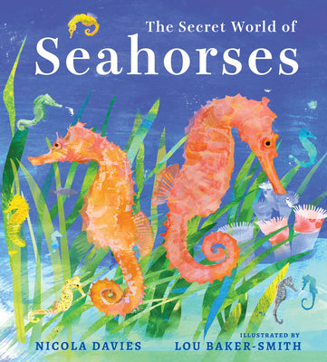 Cover Image for The Secret World of Seahorses -- Nicola Davies, Hardcover